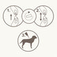 Beaphar FIPROtec® COMBO Flea & Tick Spot-On for Medium Dogs (10-20kg) - 3 Pipettes