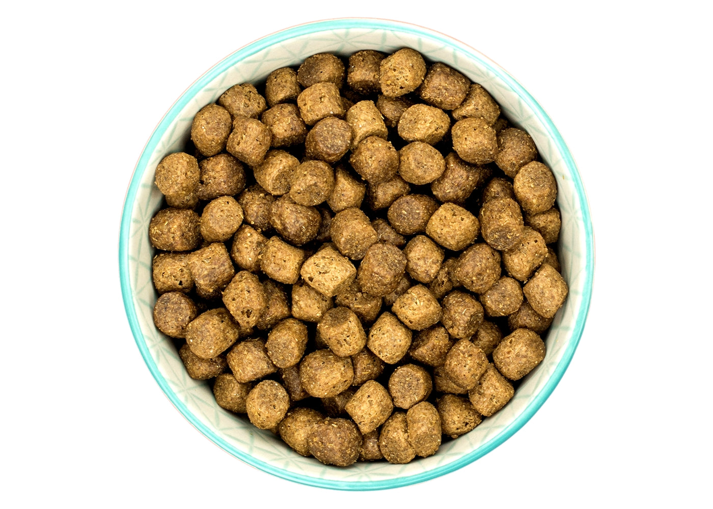 Buy puppy best sale food online