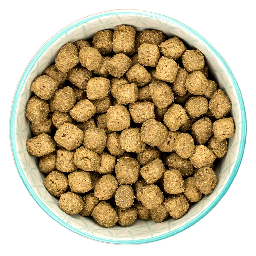 Dog food 2025 order online