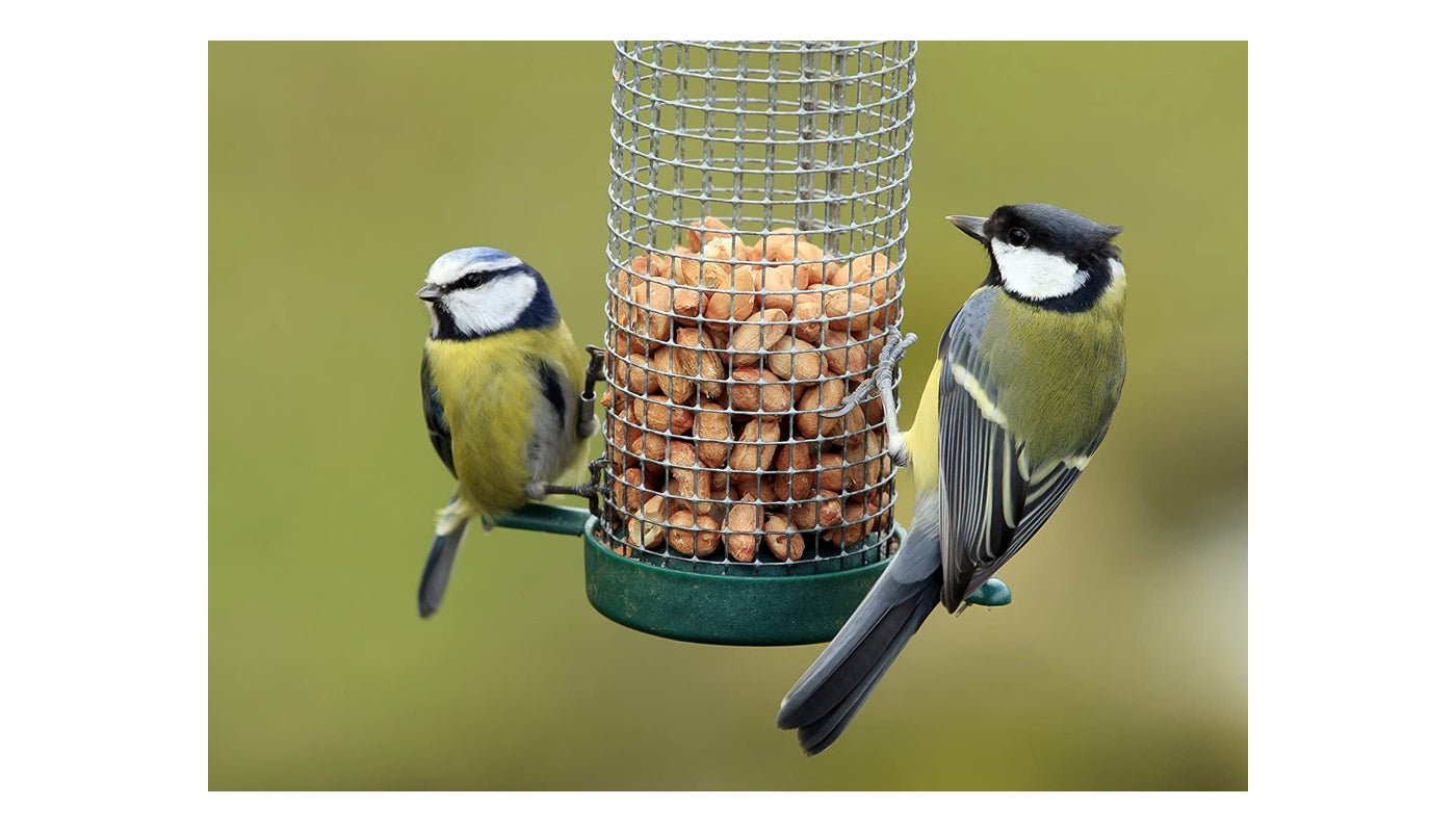Copdock Mill - Wild Bird Peanut Kernels 2kg - Buy Online SPR Centre UK