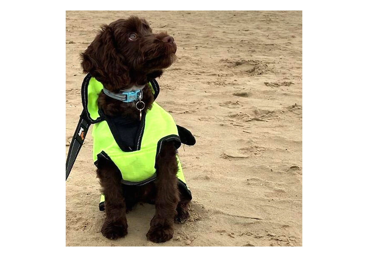 Danish Design Ultimate 2 in 1 Dog Coat Hi Vis