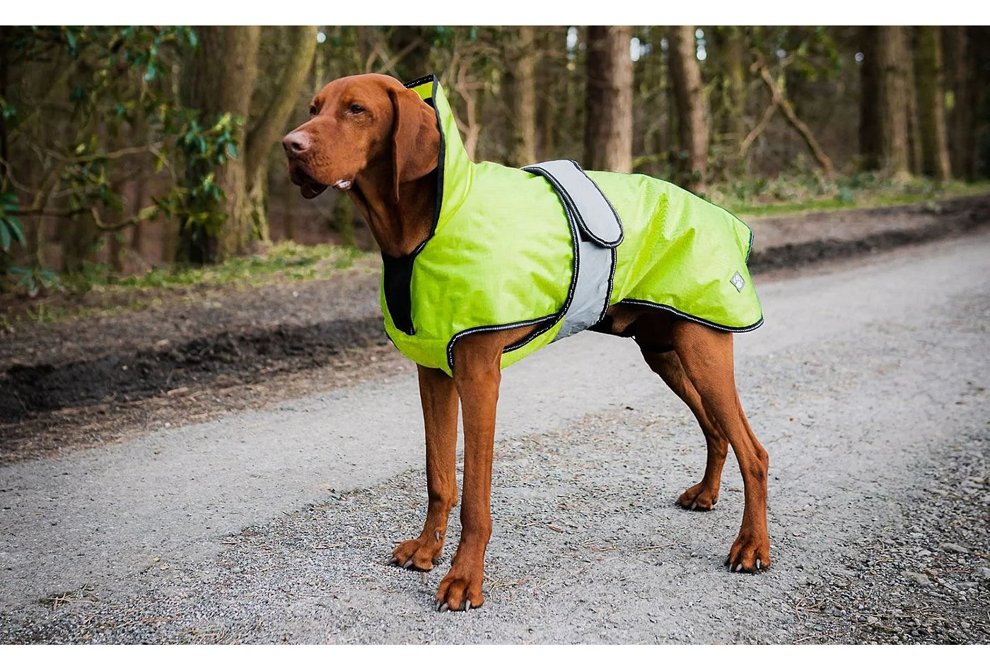 Danish dog coat best sale