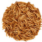 Dried Mealworms - 800ml (130g)