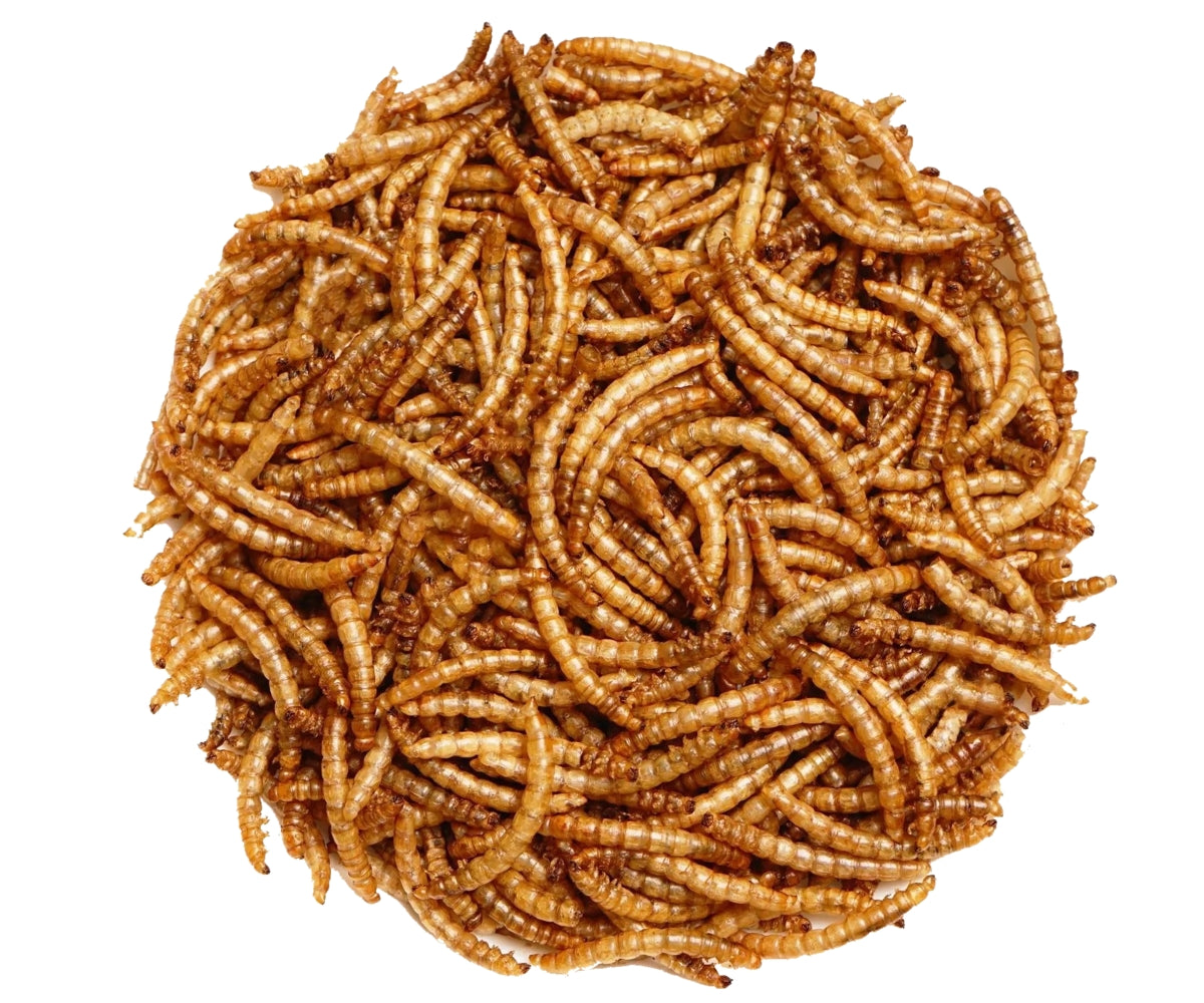 Dried Mealworms - 800ml (130g)