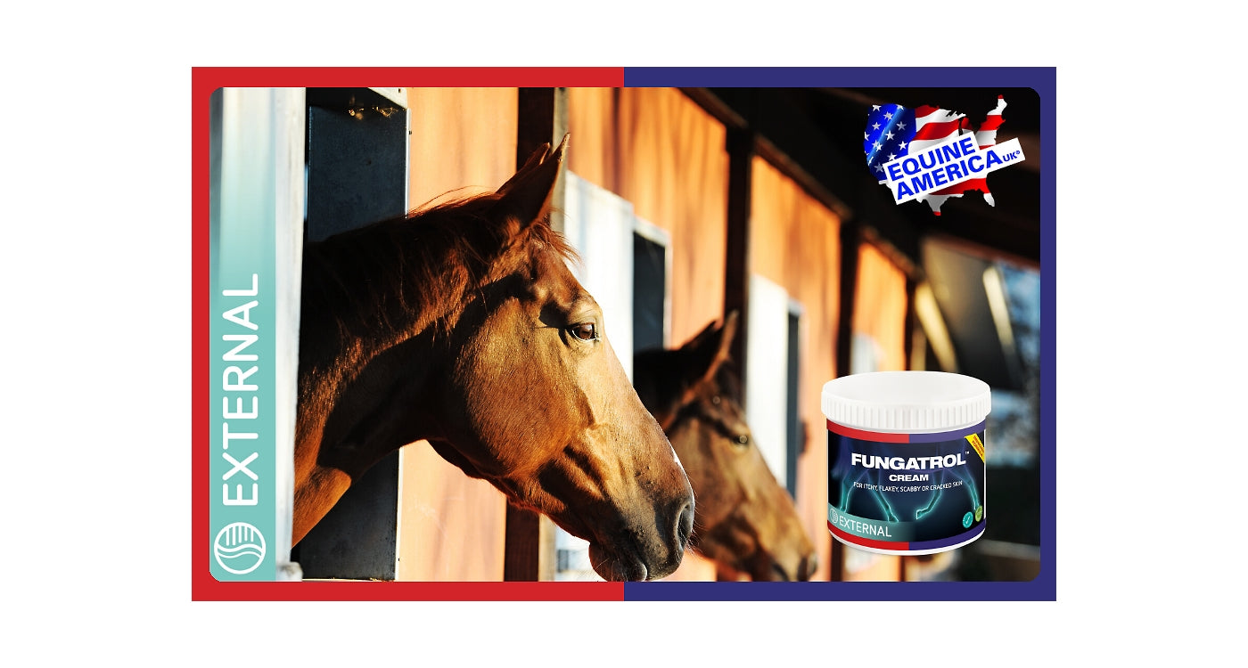 Equine America - Fungatrol Cream 400ml - Buy Online SPR Centre UK