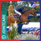 Equine America - Cortaflex® HA Regular Strength Solution - 1 litre