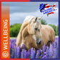 Equine America - Turmeric Xtra - 3kg