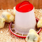 Eton Feeder Hopper for Poultry & Pigeons - Buy Online SPR Centre UK