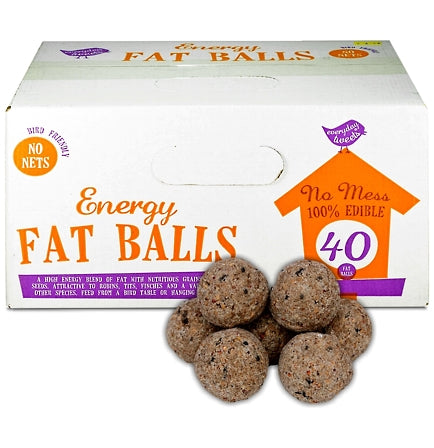 Everyday Tweets - Wild Bird Energy Fat Balls (Box of 40)