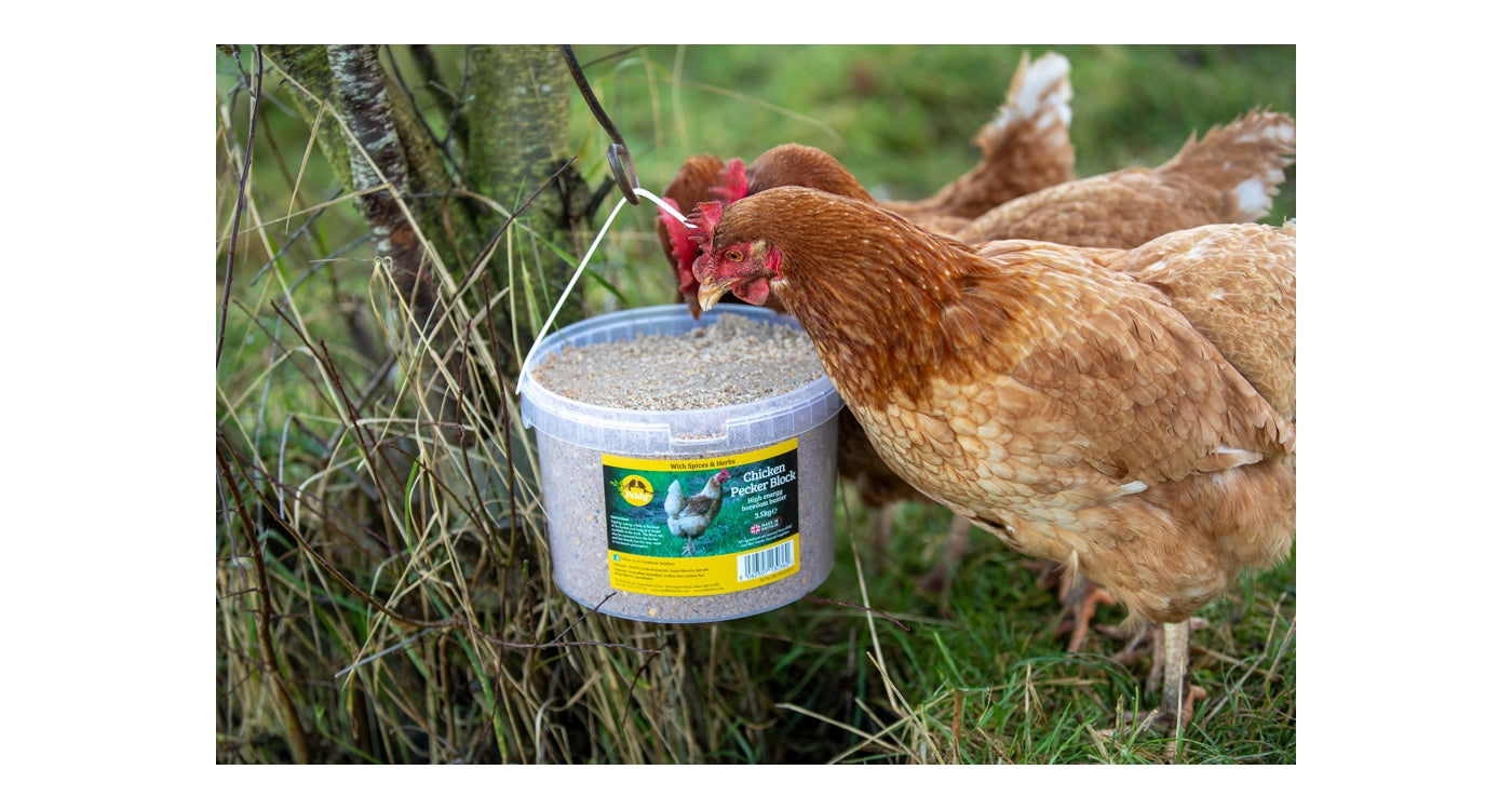 Feldy - Chicken Pecker Block 3.5kg - Buy Online SPR Centre UK