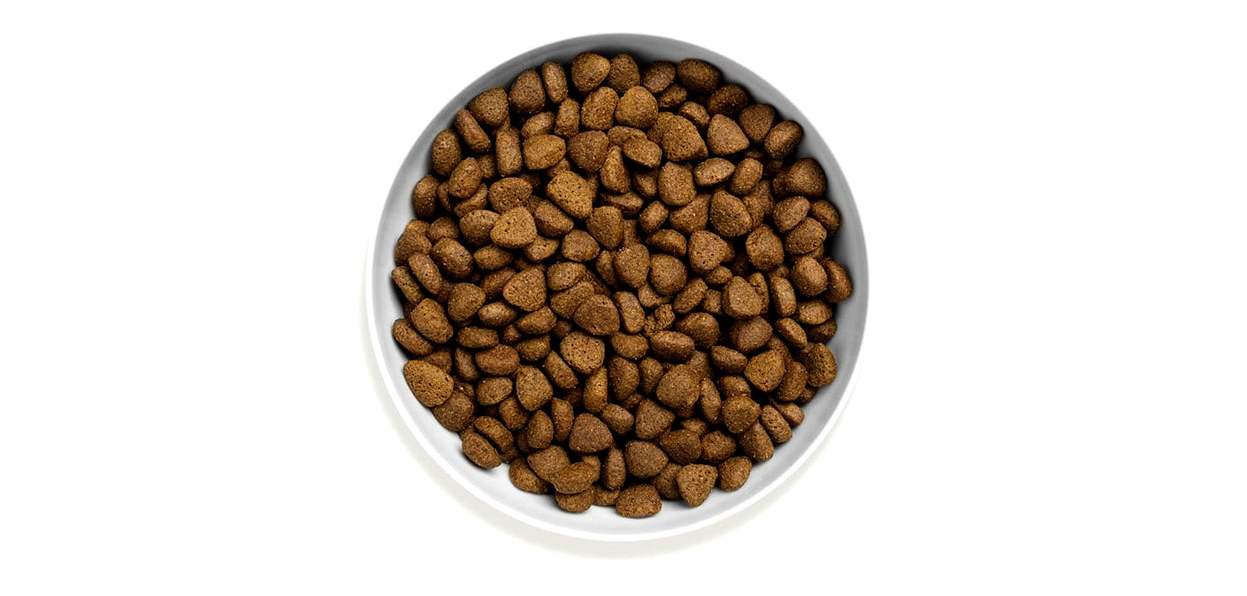 Large kibble cheap