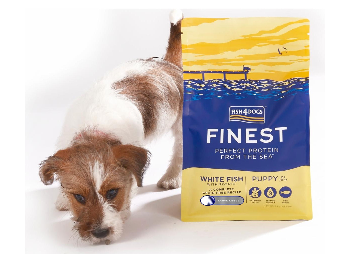 Original finest ocean white fish puppy Clearance