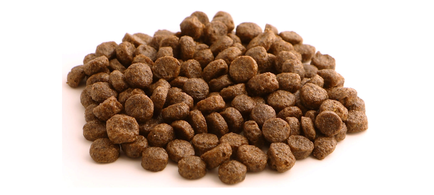 Cat food sales with small kibble