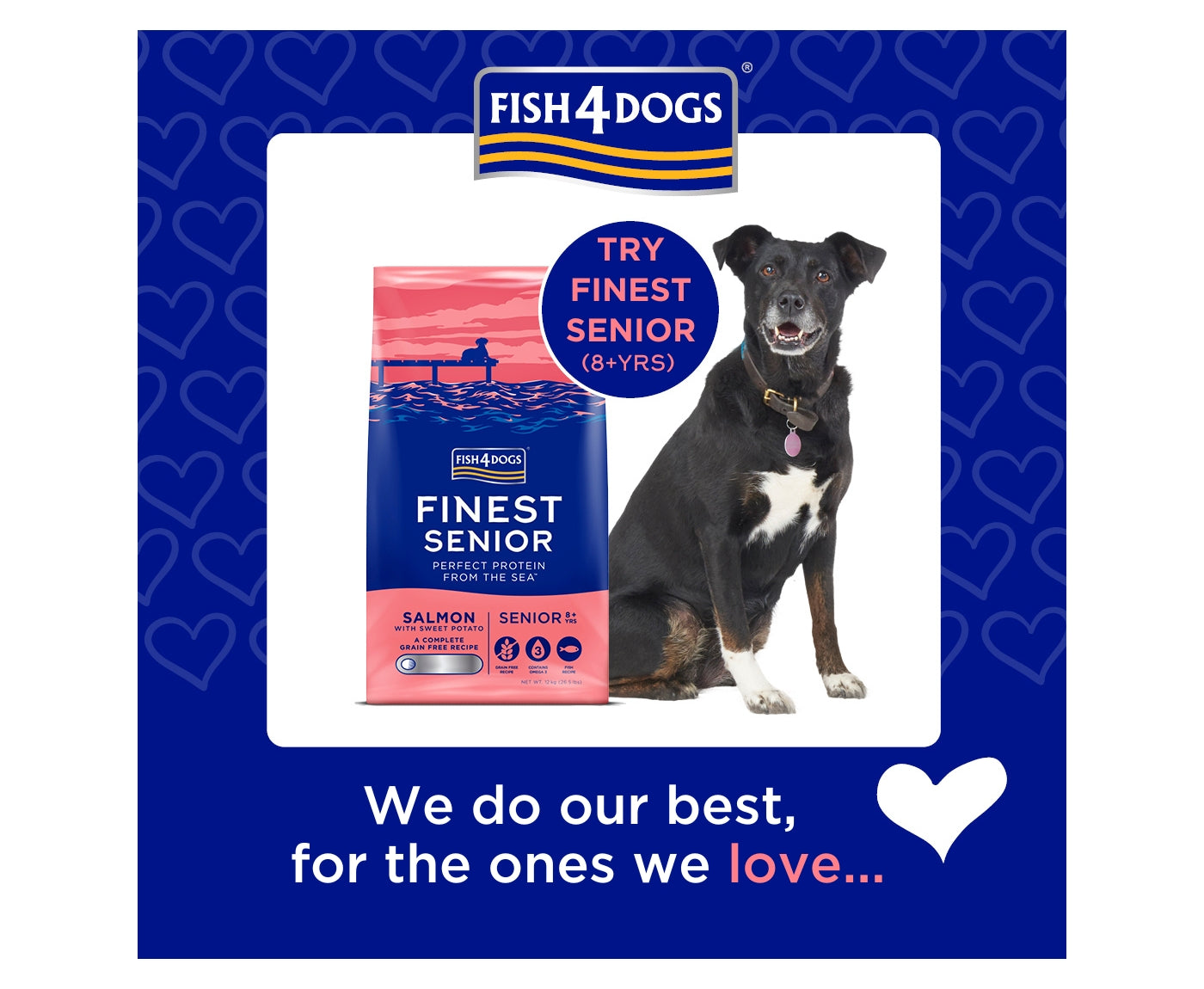 Fish4Dogs Finest Senior Salmon Sweet Potato Small Kibble