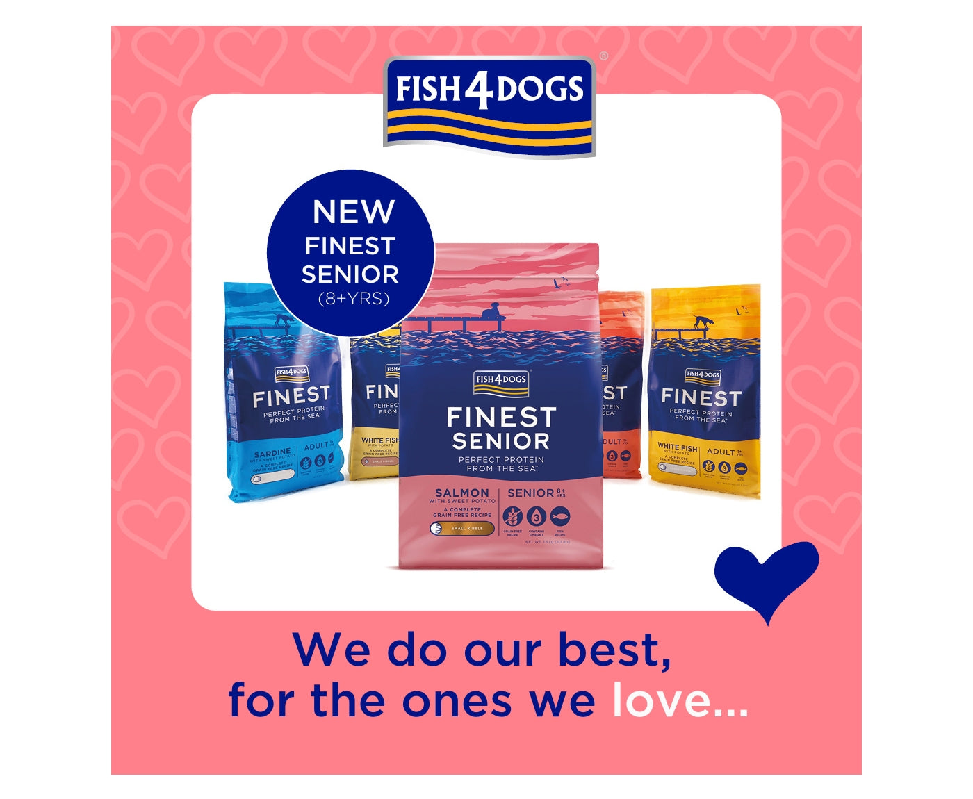 Fish4dogs senior new arrivals