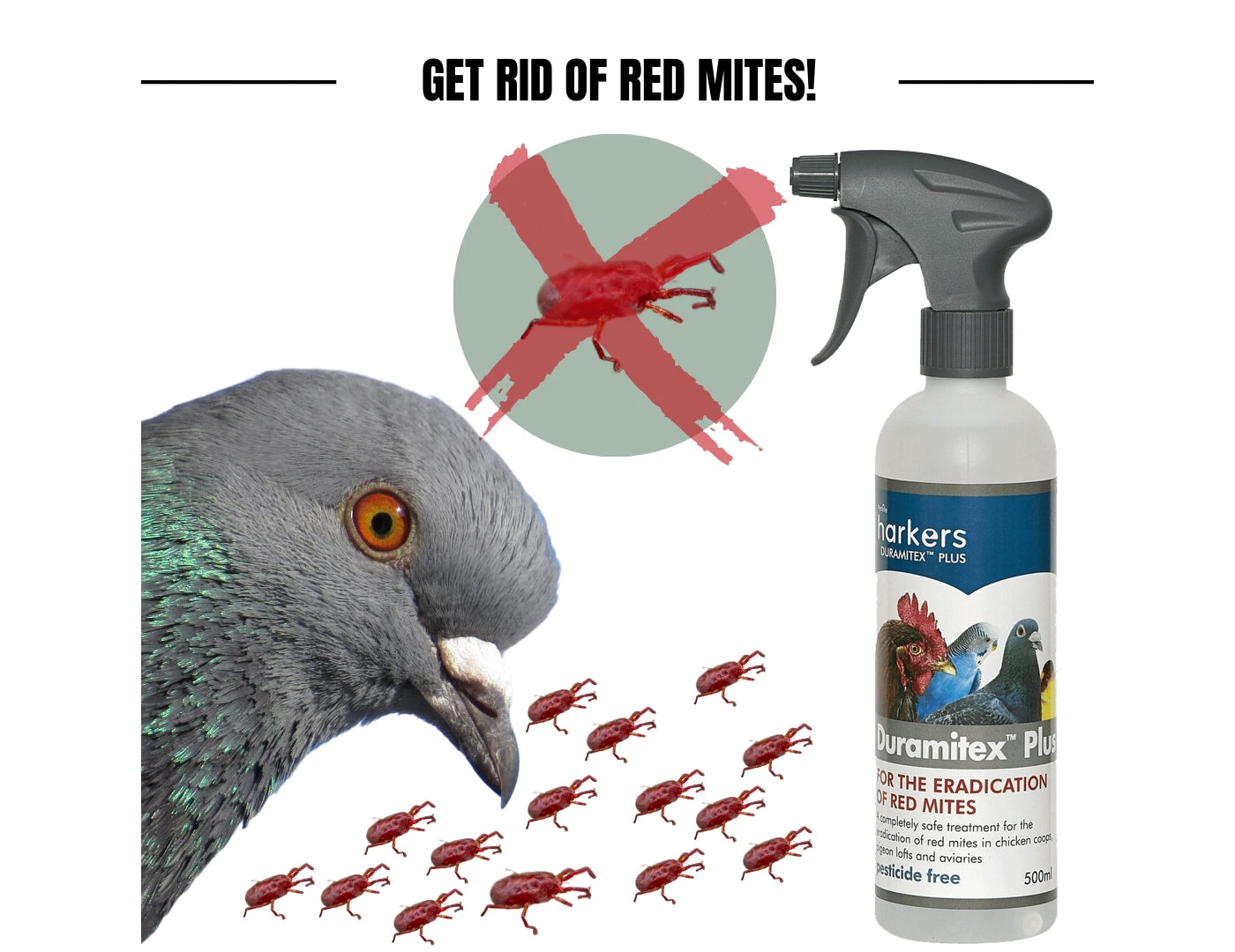 Harkers - Duramitex Plus (Red Mite Control for Birds) - Buy Online SPR Centre UK