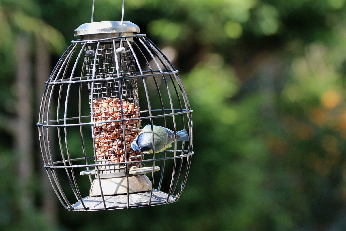 Henry Bell - Heritage Squirrel Proof Peanut Feeder