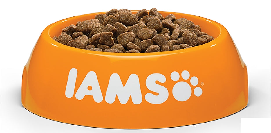 Iams proactive health clearance dry kitten food