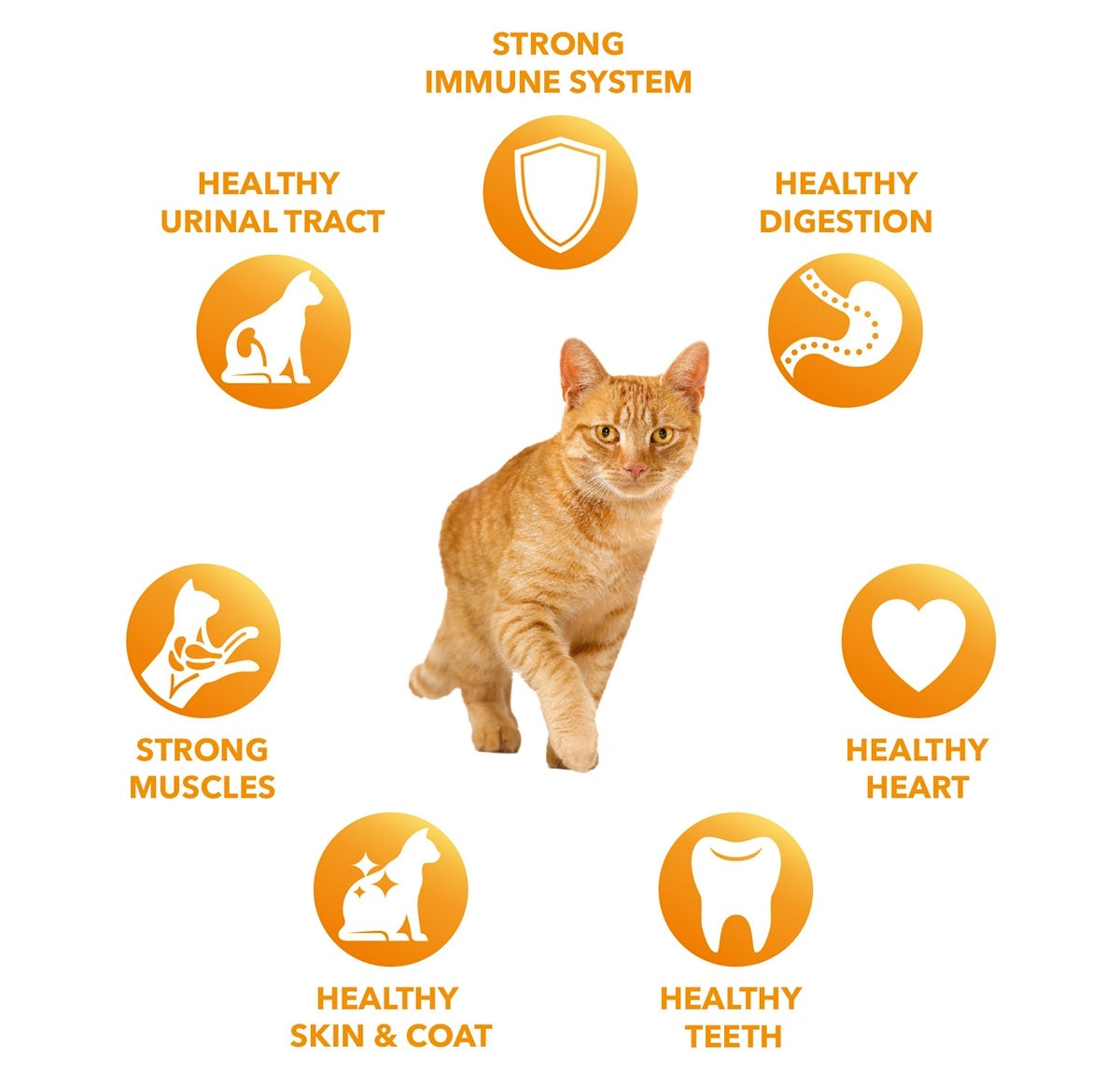 Iams urinary hotsell tract cat food