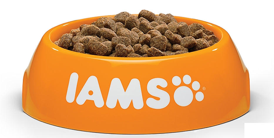 Iams sterilised shop dog food