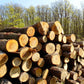 Japonica - Firewood Logs (1 x Netting Bag)