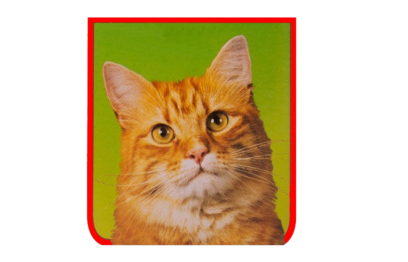 Johnson's Cat Flea Cleansing Shampoo 125ml Buy Online SPR Centre UK