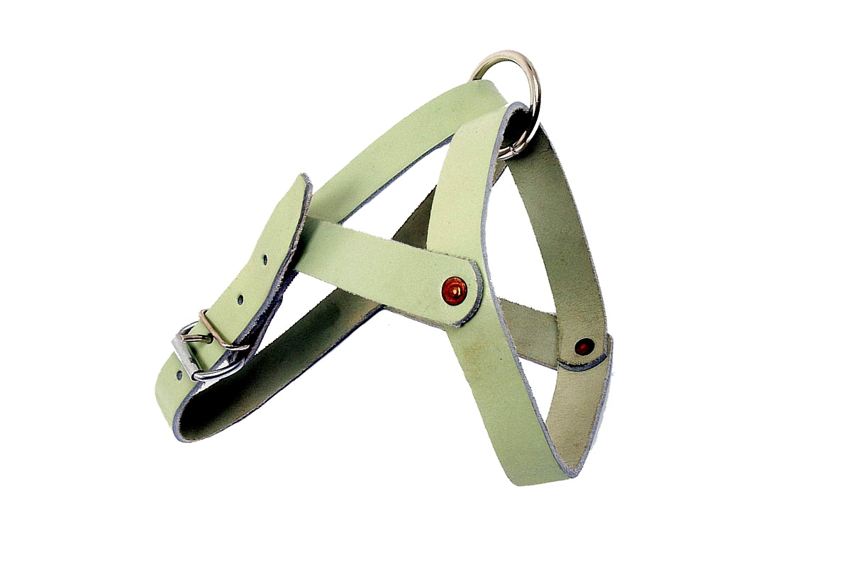 Leather dog head collar online