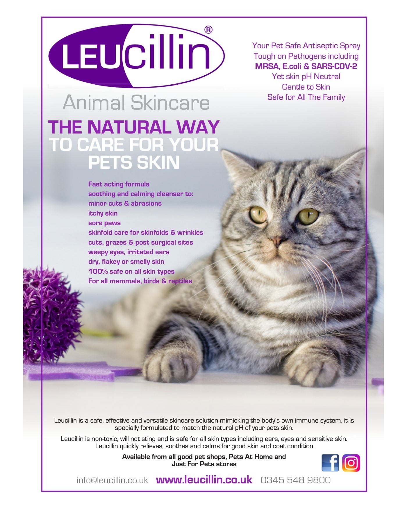 Leucillin spray clearance pets at home