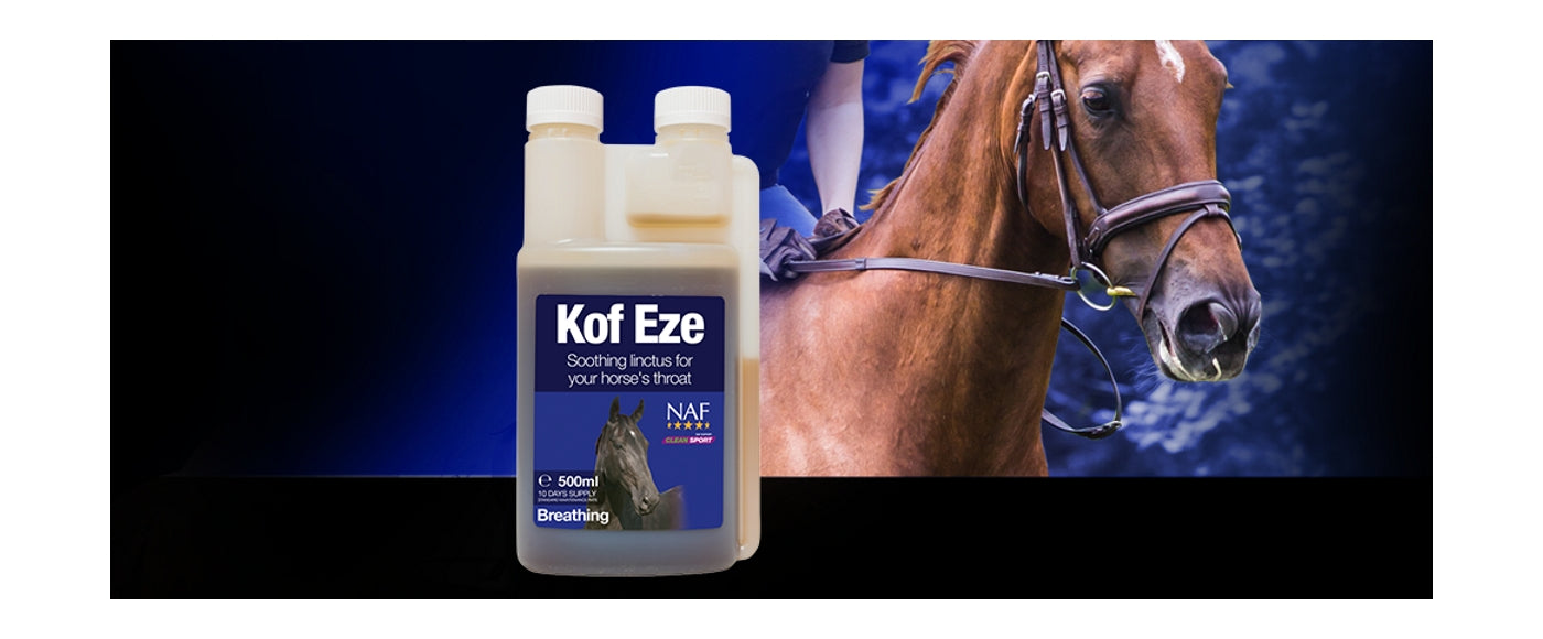 NAF Kof Eze for Horses Buy Online SPR Centre UK