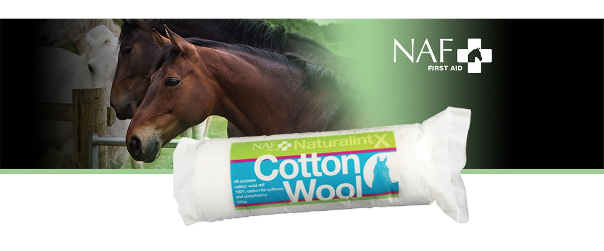 NAF NaturalintX - Cotton Wool | Horse Care - Buy Online SPR Centre UK