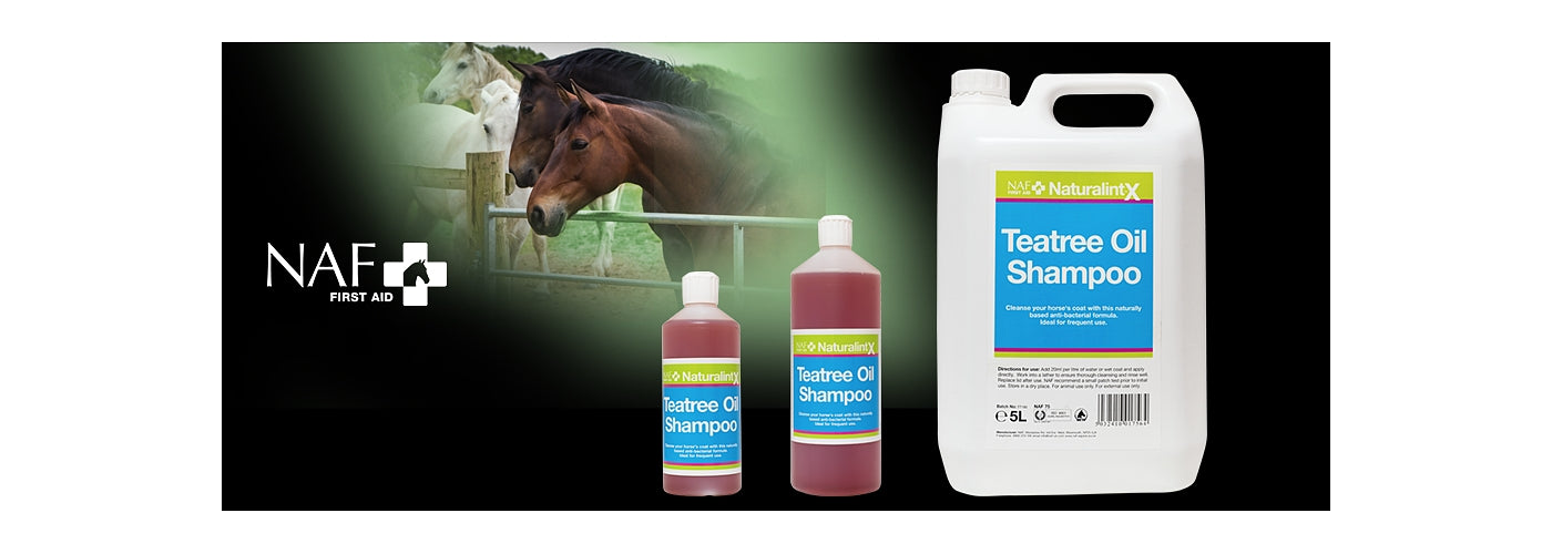 NAF NaturalintX - Teatree Oil Shampoo | Horse Care - Buy Online SPR Centre UK