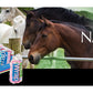 NAF NaturalintX - Wrap (Support Bandage for Horses) - Buy Online SPR Centre UK