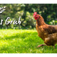 Natures Grub - Treats for Chickens - Buy Online SPR Centre UK