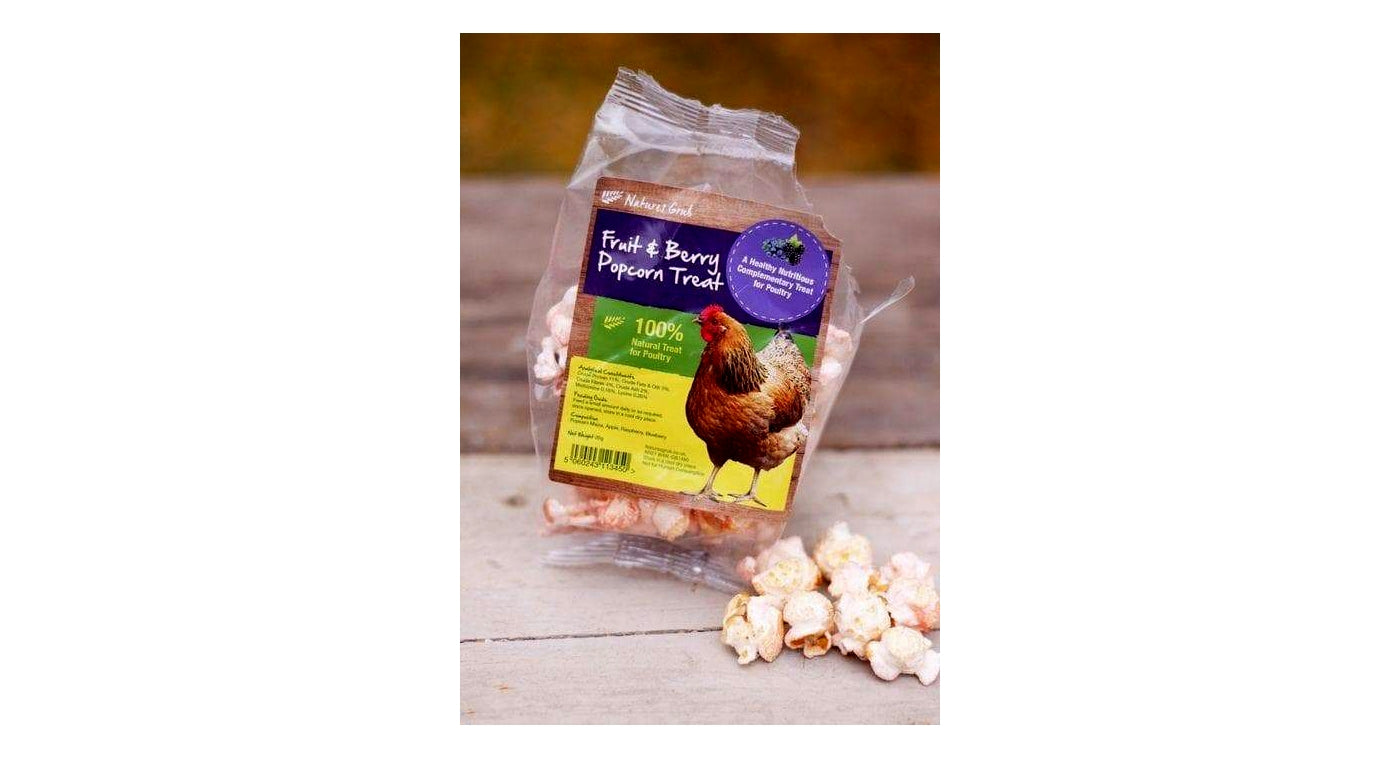 Natures Grub - Fruit & Berry Popcorn Treat for Chickens - Buy Online SPR Centre UK