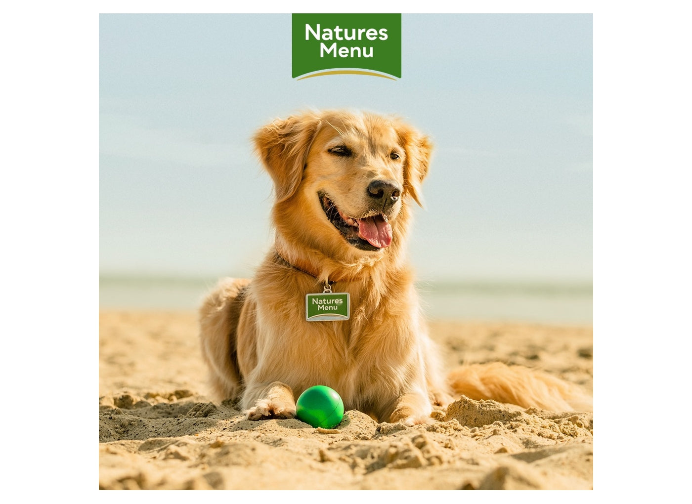 Natures menu best sale dog food