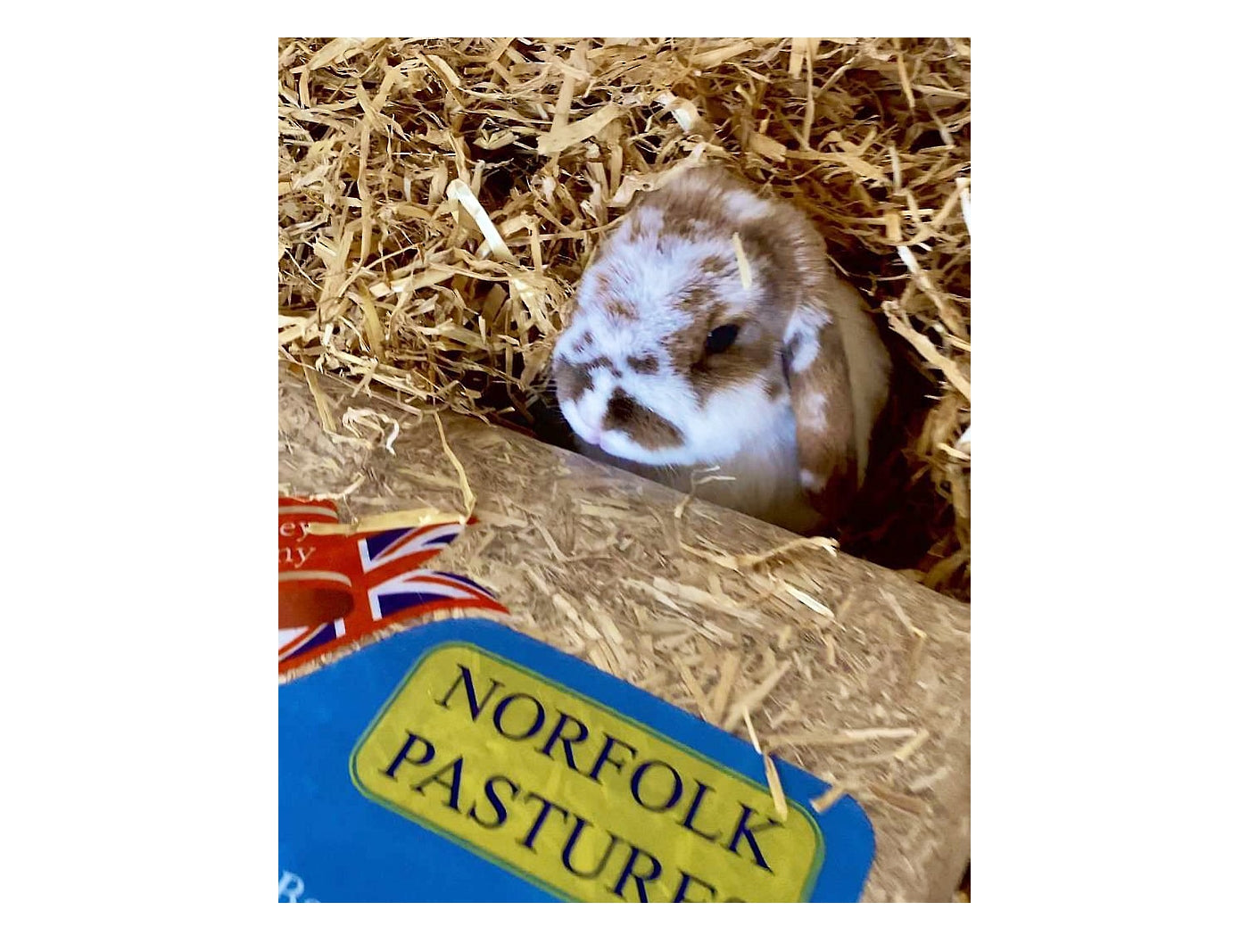 Norfolk Pastures - Dust Extracted Hay - 5kg
