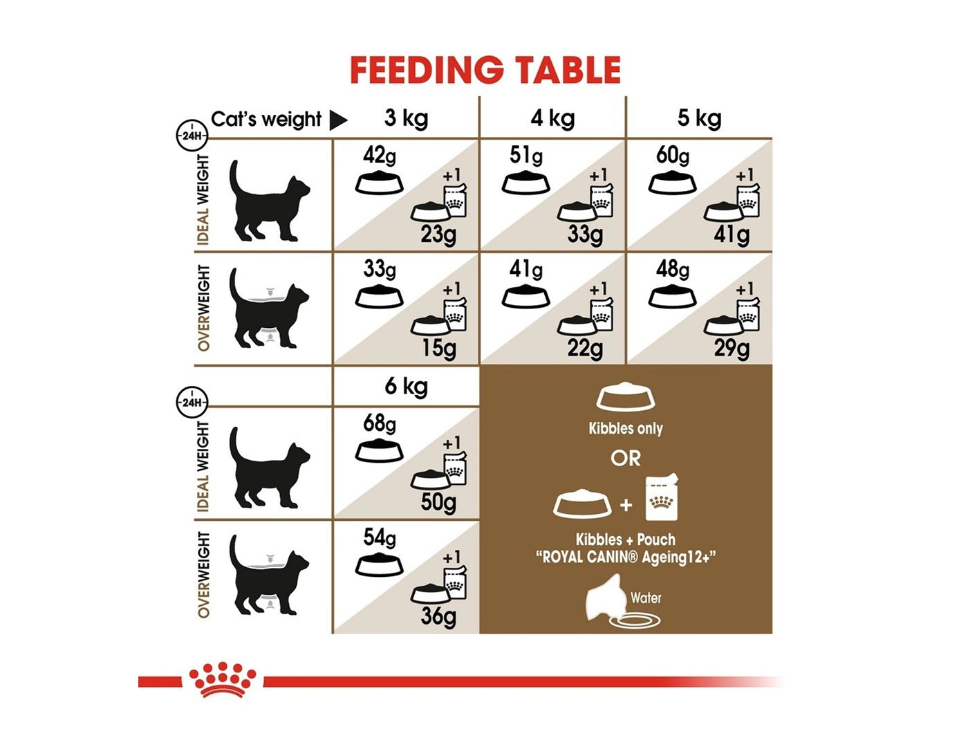 Royal canin ageing sale 12 cat food