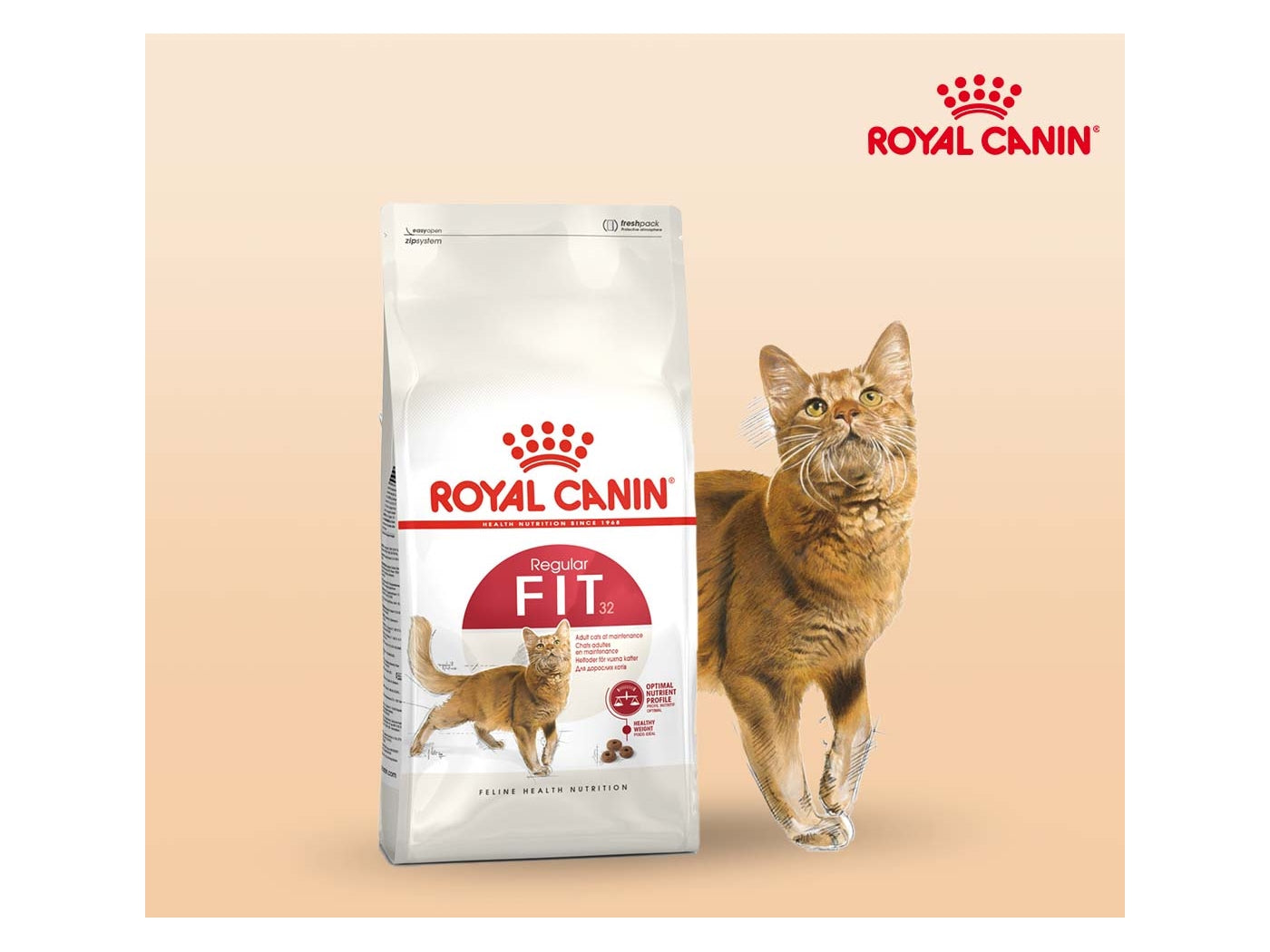 Royal Canin Fit 32 Cat Food Buy Online SPR Centre UK