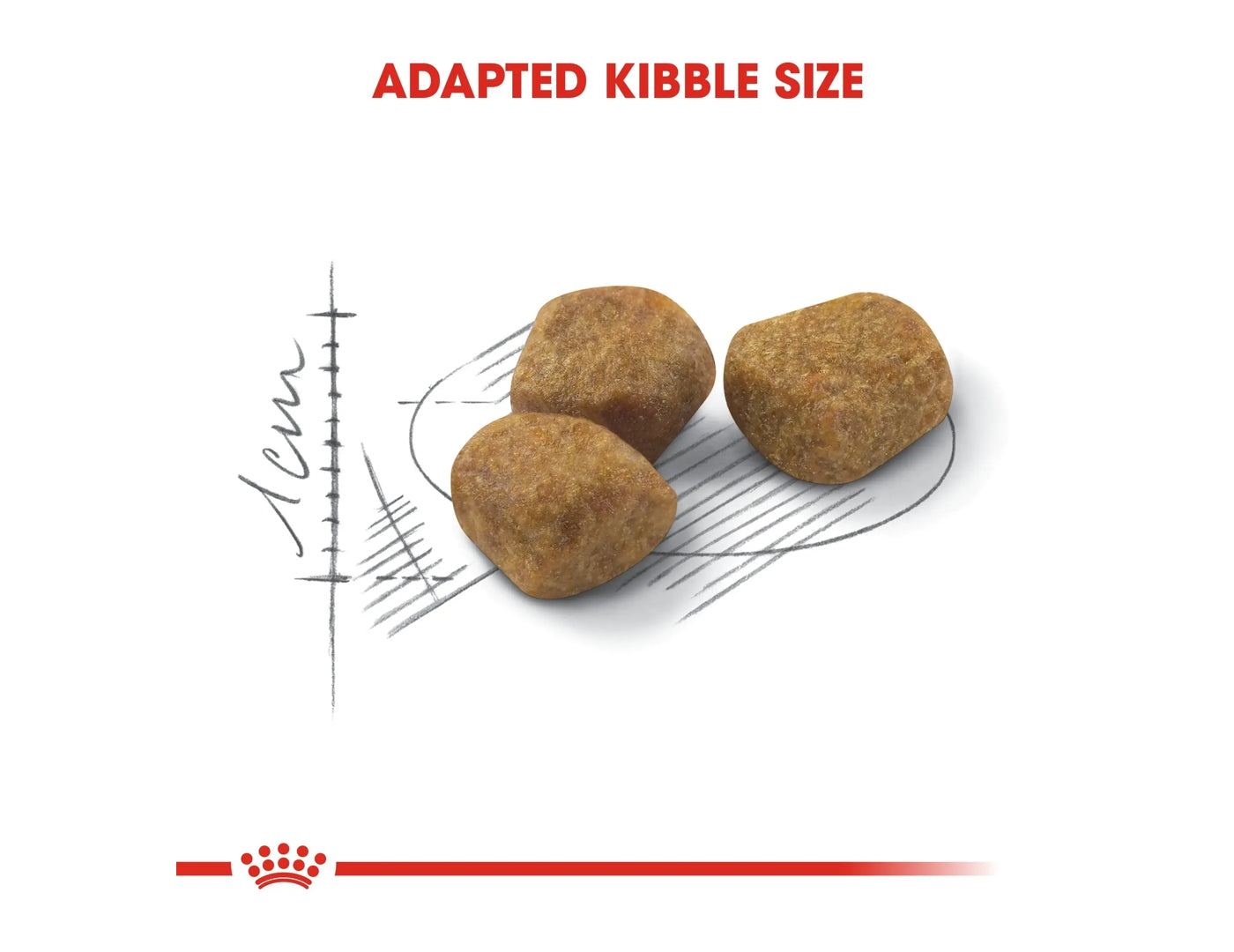 Royal Canin Indoor 7 Cat Food Buy Online SPR Centre UK