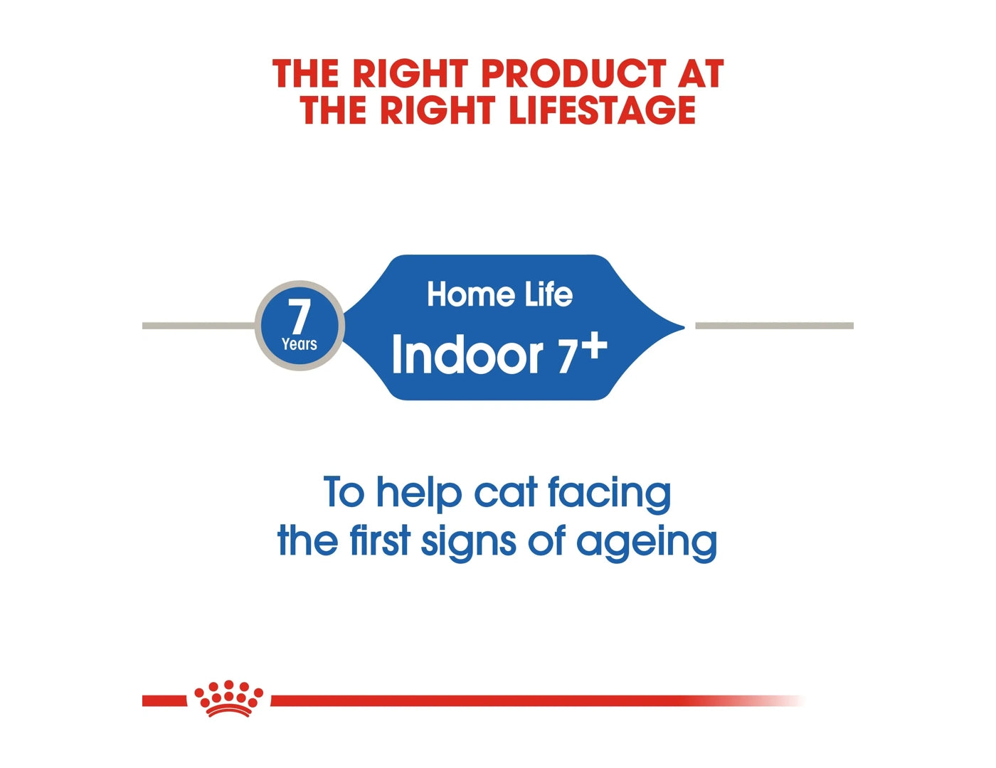 Home life indoor royal canin online