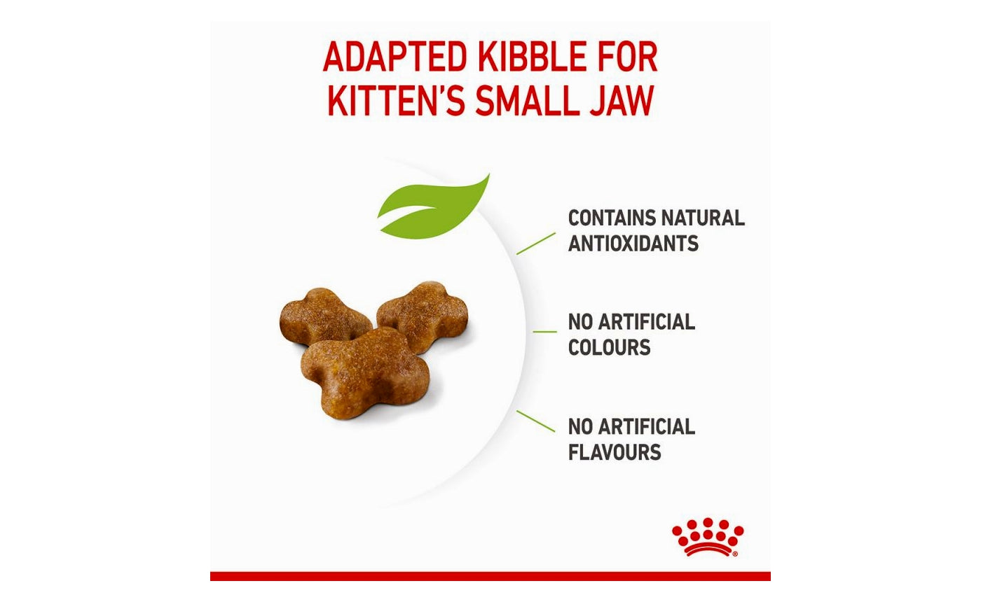 Small kibble sales cat food