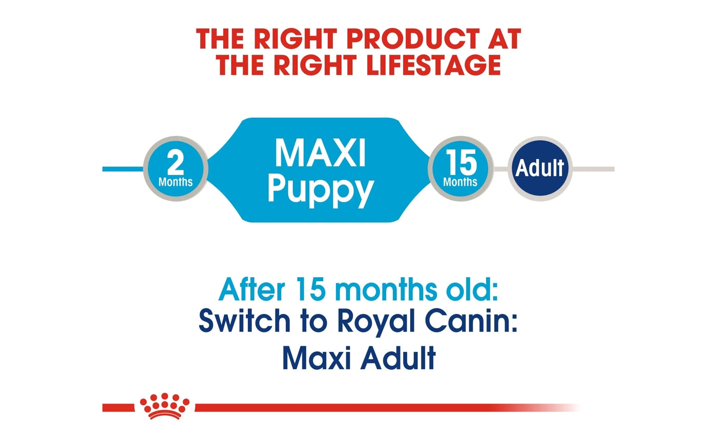 Royal canin shop maxi puppy professional