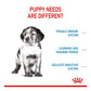 Royal Canin - Medium Puppy - 4kg