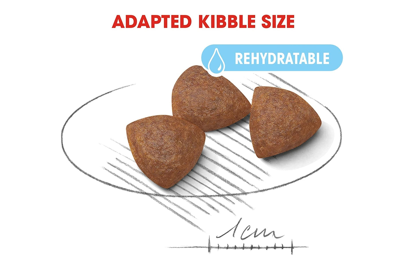 Royal canin mother and baby discount dog medium