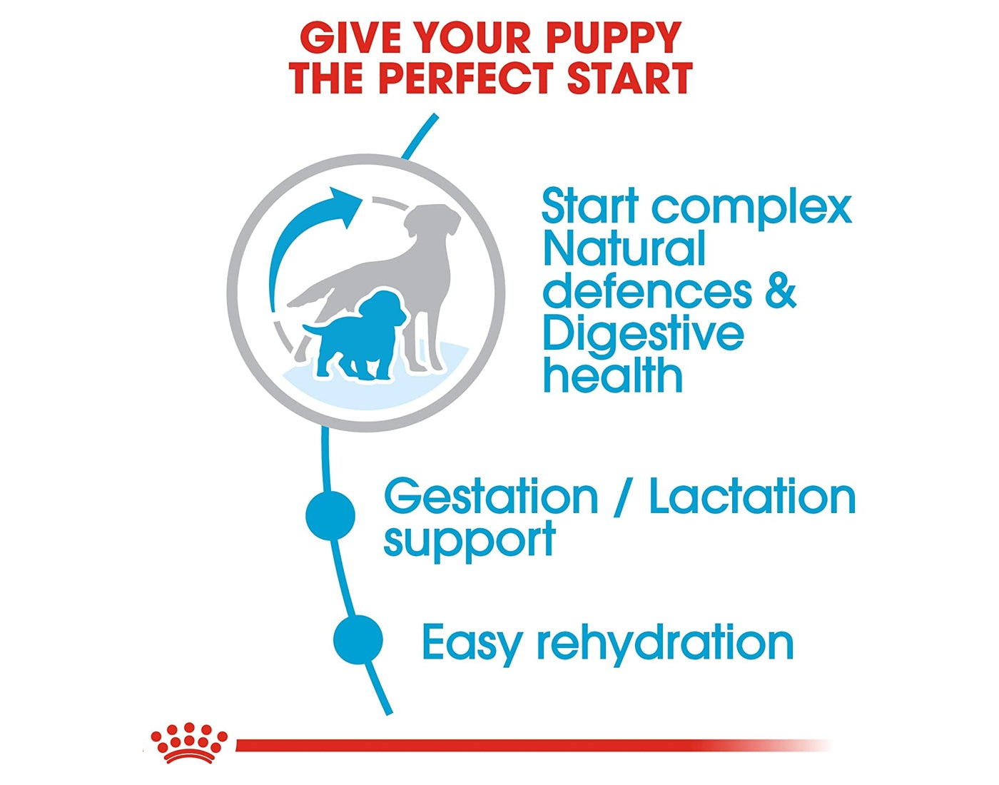 Royal canin rehydration clearance