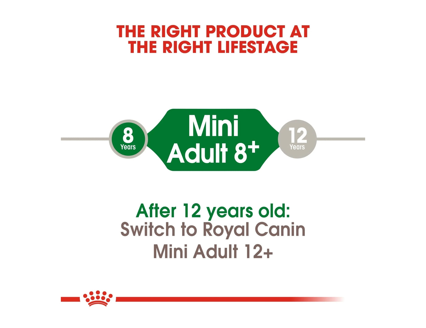 Royal canin mini 2kg top