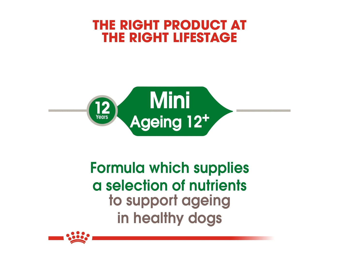 Royal deals canin selection