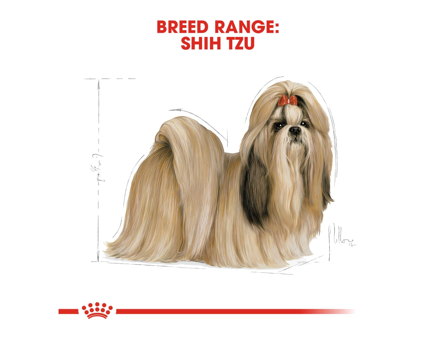 Royal Canin - Shih Tzu Adult - 1.5kg