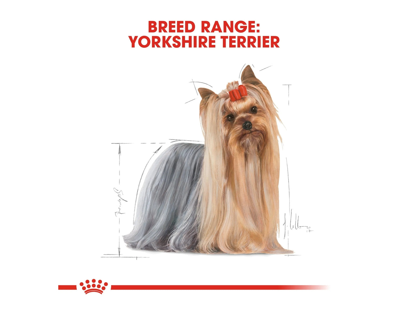 Royal canin range top