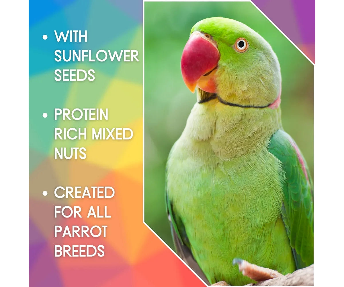 Alexandrine parrot sale food online